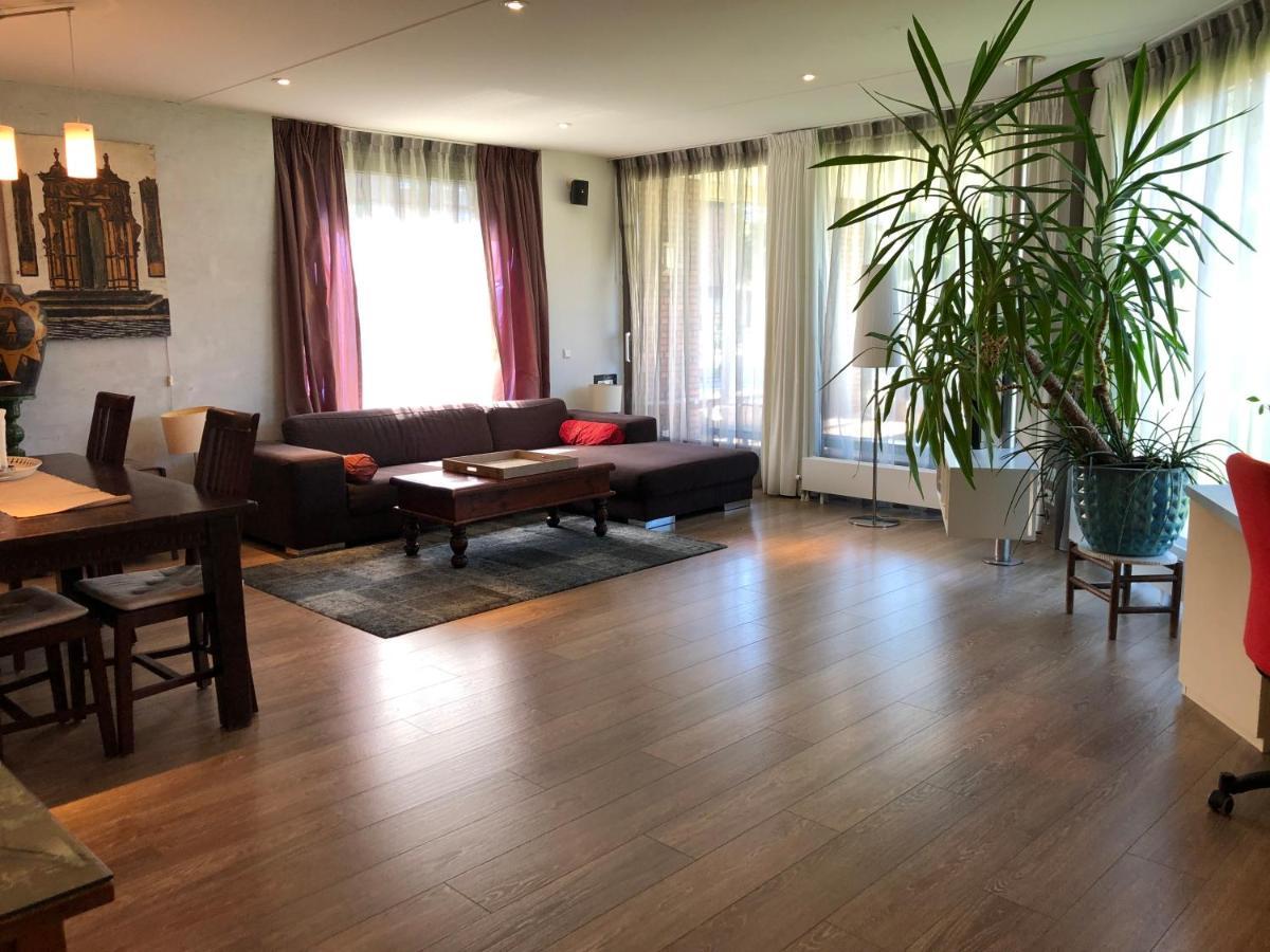 Lounge Park Apartamento Ámsterdam